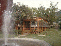 iris pool 10.gif
